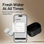 PETLIBRO Cat Water Fountain