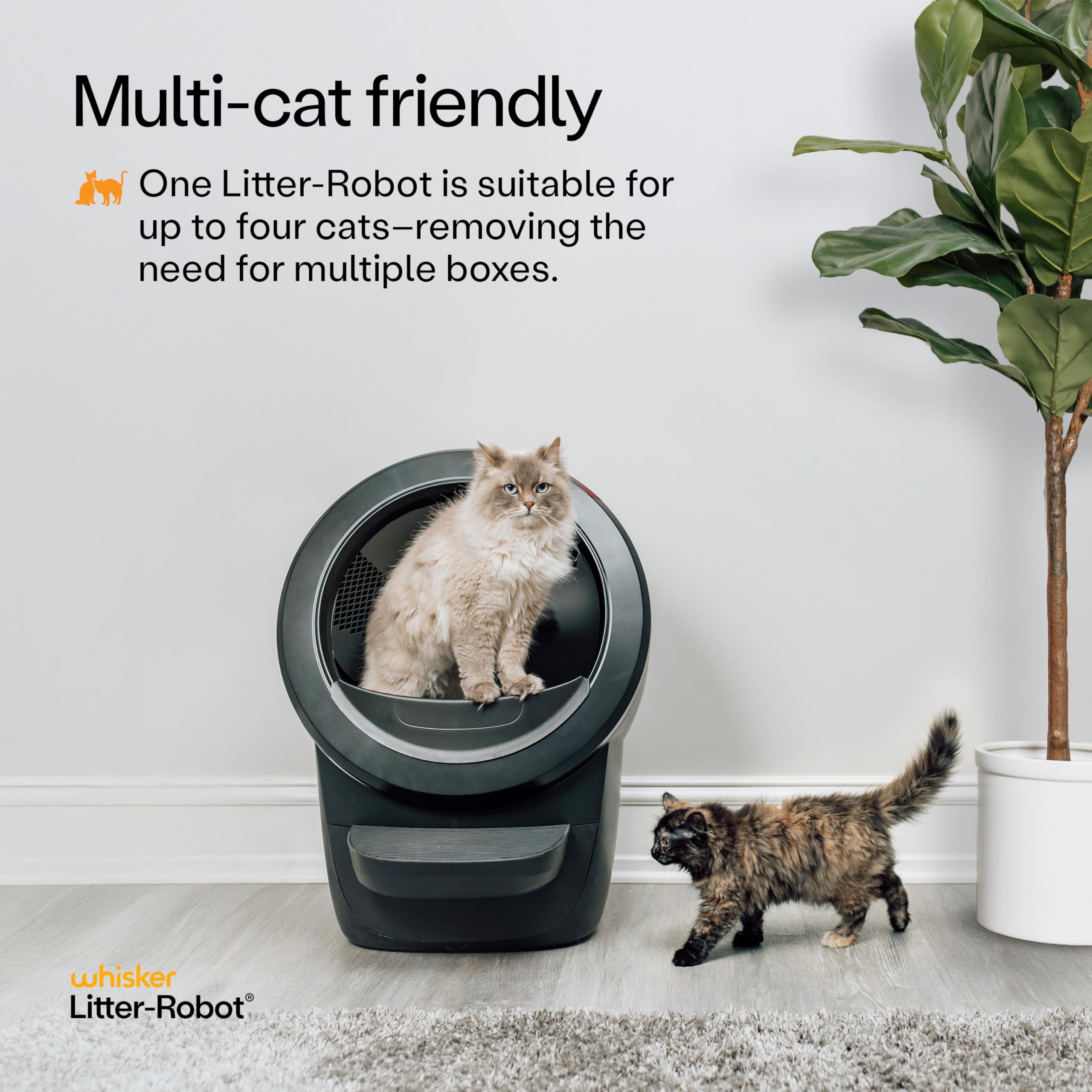 Whisker Litter-Robot 4 supply bundle displayed with two cats one perched inside the unit in a living room